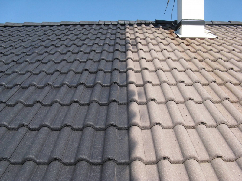 Peinture toiture Orgeval 78630