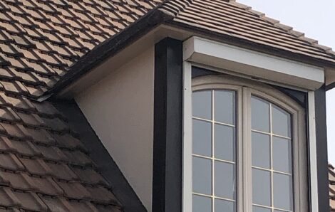 Peinture chien assis Vernouillet 78540