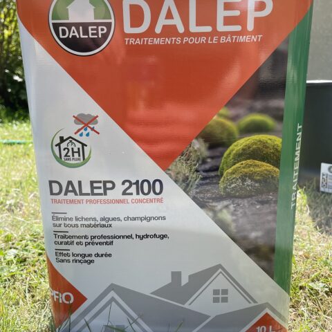 nettoyage toiture dalep 2100