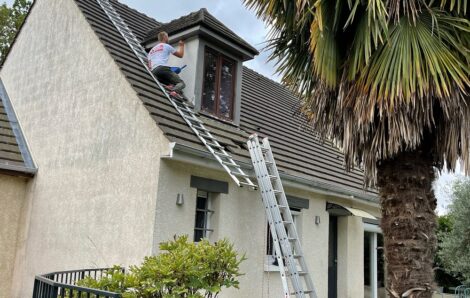 Peinture chien assis Ecquevilly 78920