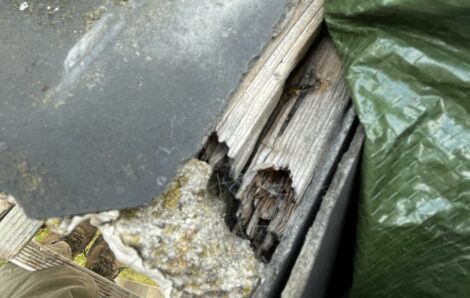 Rénovation charpente Vernouillet 78540