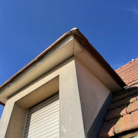 renovation peinture chien assis beynes
