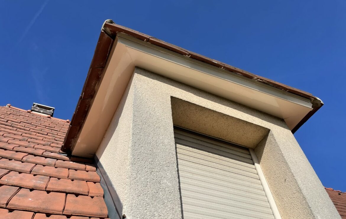 Rénovation peinture chiens assis Beynes 78650