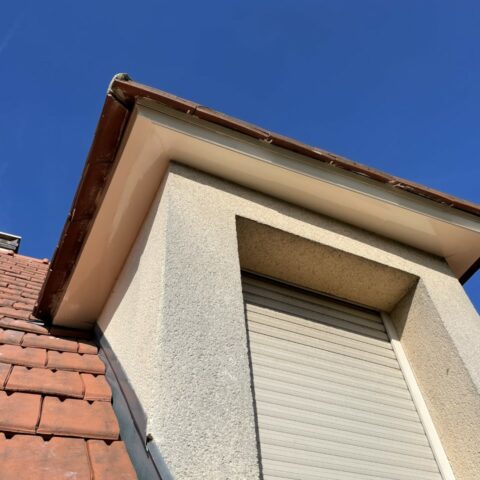 renovation chien assis beynes 78
