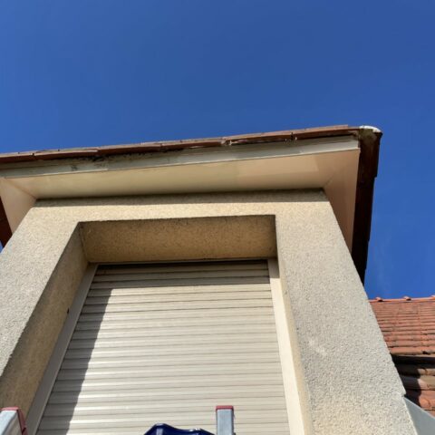 renovation chien assis beynes