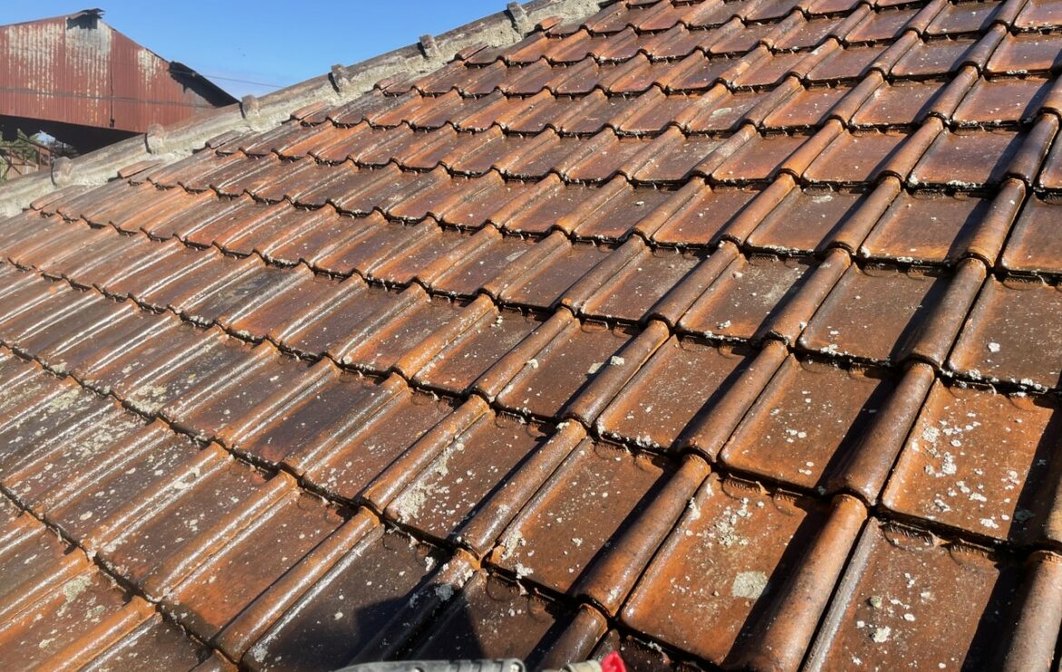 Nettoyage toiture Les Pinthières 28130
