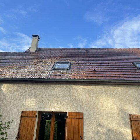 nettoyage toiture saint germain de la grange 78
