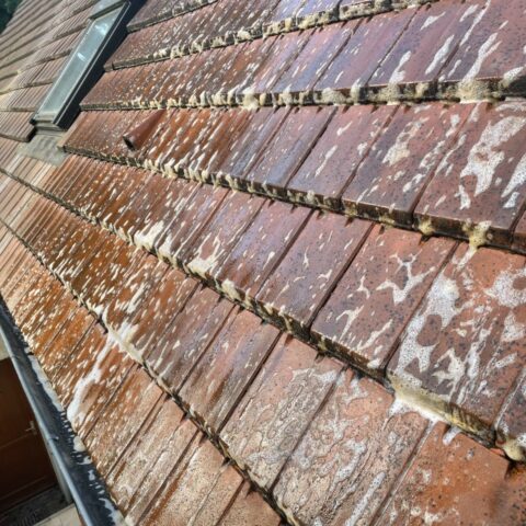 nettoyage toiture saint germain de la grange