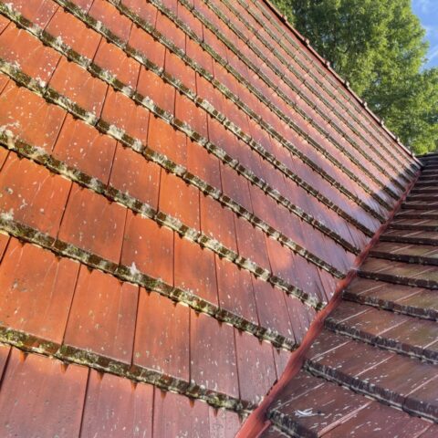 nettoyage toiture saint germain de la grange