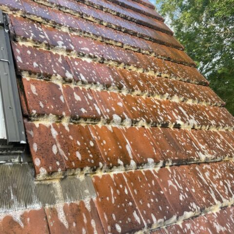 demoussage toiture saint germain de la grange