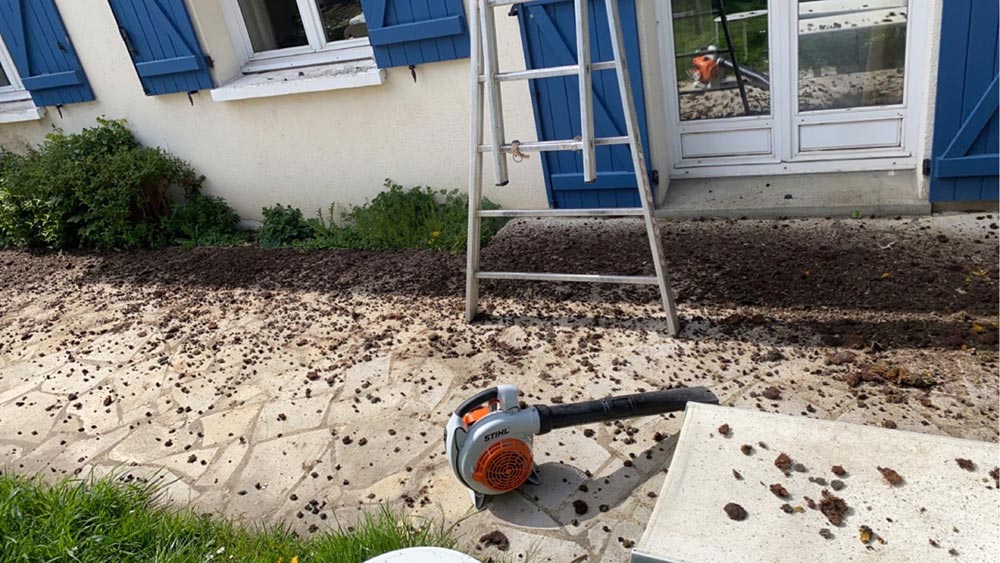 Brossage mousses Jouars Pontchartrain 78760