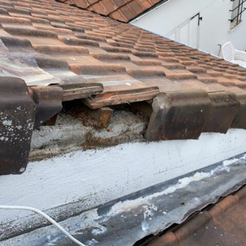 changement rive jouards ponchartrain