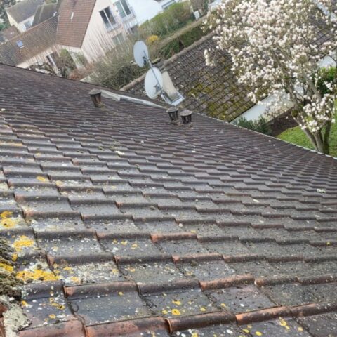 nettoyage toiture jouars pontchartrain 4