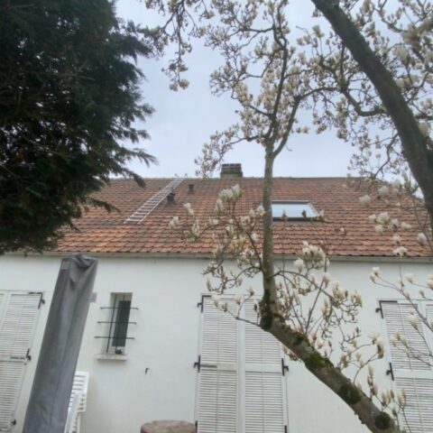 nettoyage toiture jouars pontchartrain 8