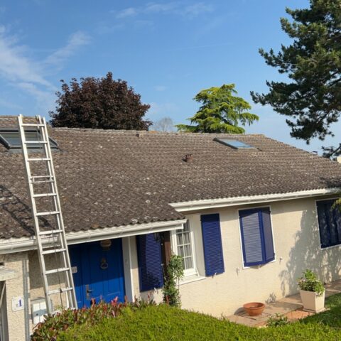 nettoyage toiture saint germain de la grange 2