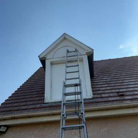 renovation chien assis gambais 2