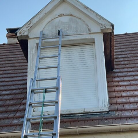 renovation chien assis gambais 3