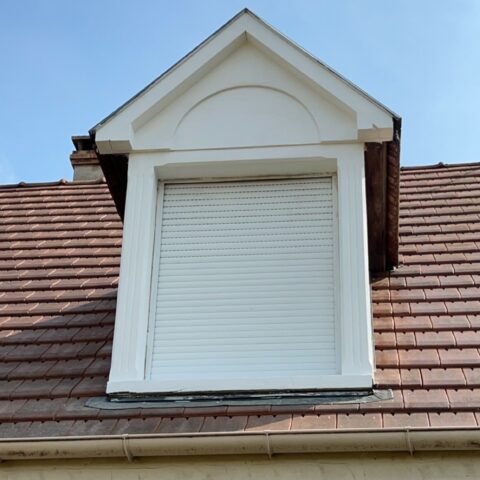 renovation chien assis gambais 4