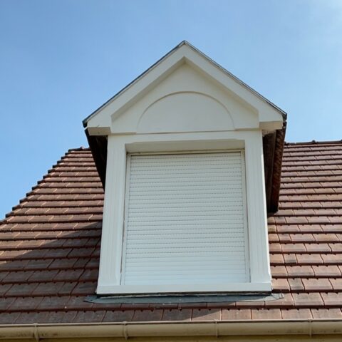 renovation chien assis gambais 5