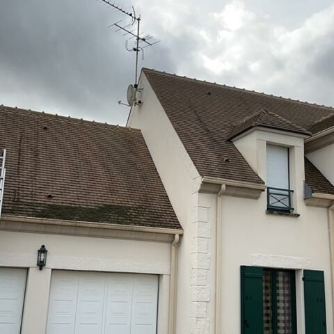 brossage mousses toiture autouillet 1