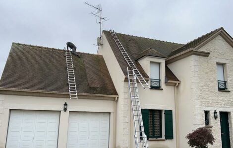 Brossage mousses toiture Autouillet 78770