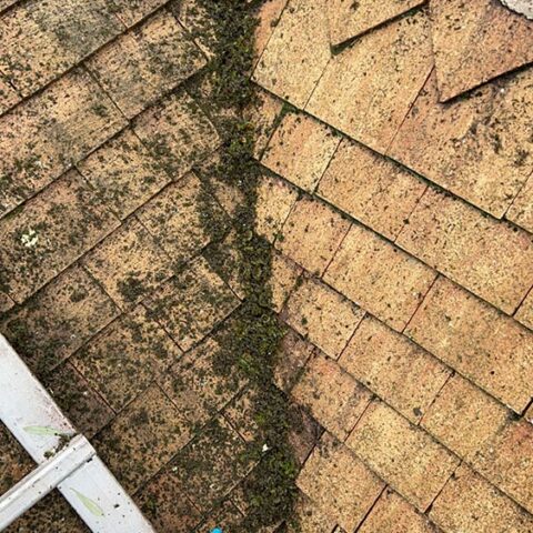 brossage mousses toiture autouillet 5