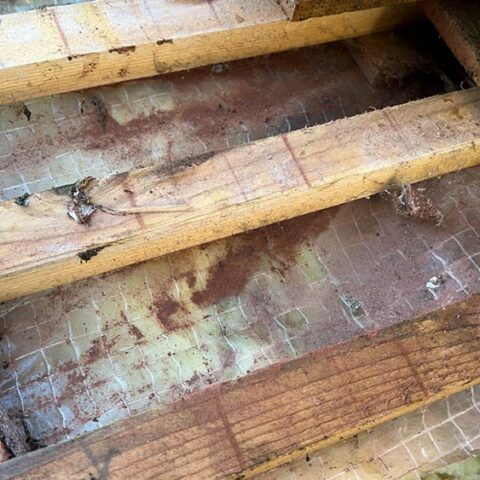 toiture infiltration autouillet