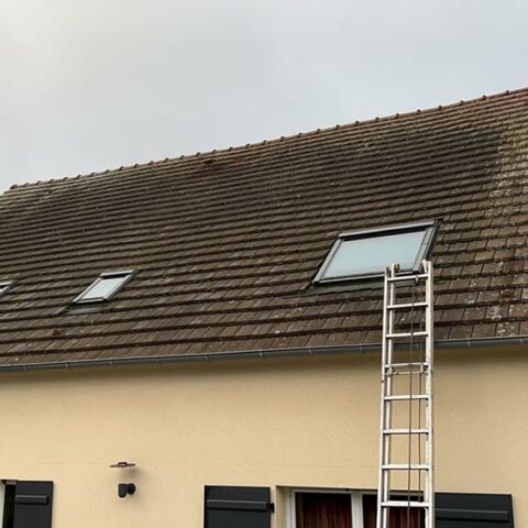 traitement anti mousse villiers saint frederic 78 2