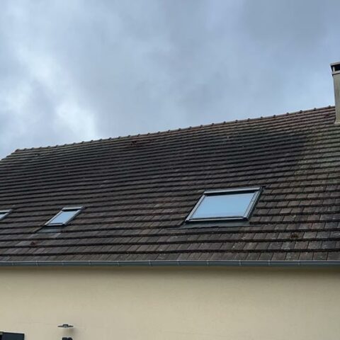 traitement anti mousse villiers saint frederic 78 3