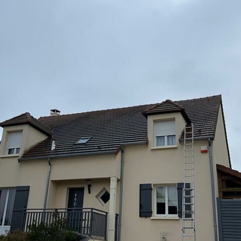 traitement anti mousse villiers saint frederic 78