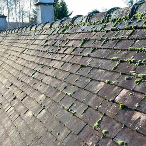 faitage clausoir ventile chevreuse