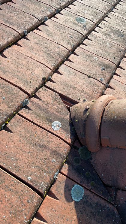 Changement tuiles Saint-Germain-en-Laye 78100