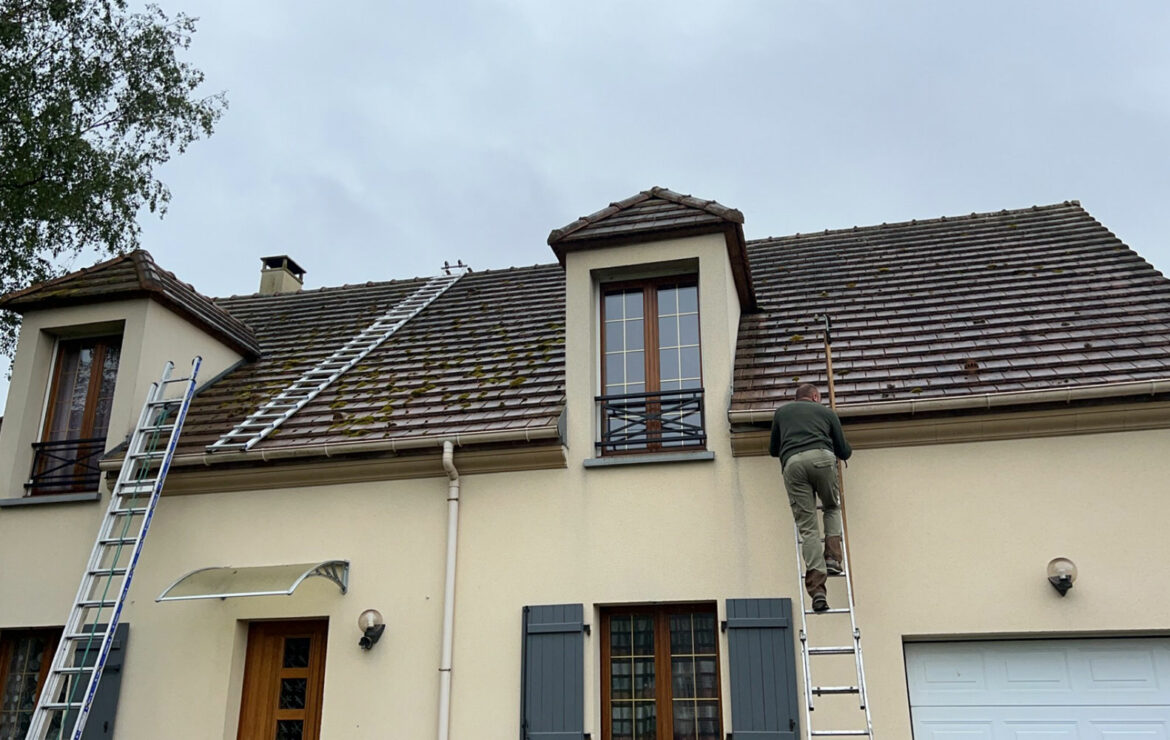 Démoussage toiture Neauphle-le-Château 78640