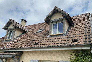 peinture chien assis beynes
