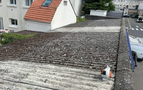 Nettoyage toiture Les Clayes-sous-Bois 78340