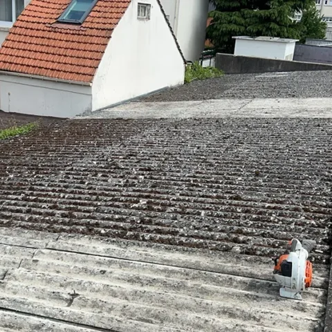 nettoyage toiture clayes sous bois 4