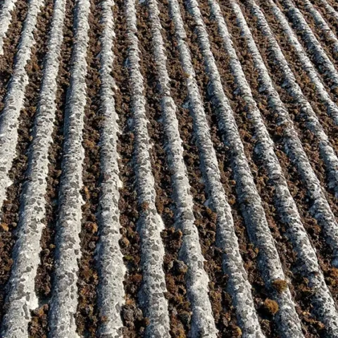 nettoyage toiture clayes sous bois