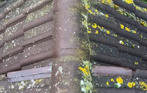 Vérification toiture Verneuil-sur-Seine 78480