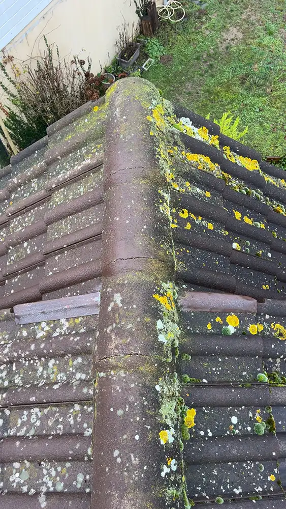 verification toiture verneuil sur seine